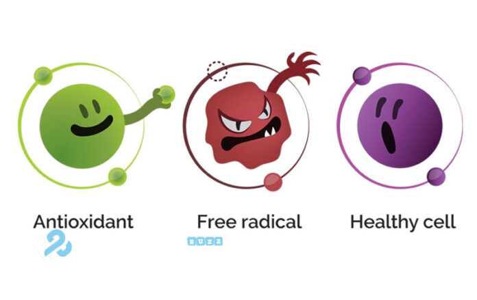 Harnessing the Power of Antioxidants: Unraveling the Secrets of Free Radical Defense