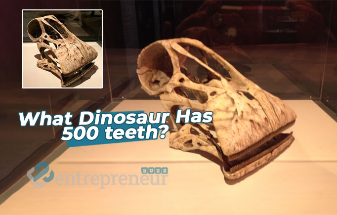What Dinosaur Has 500 Teeth? Everything About Nigersaurus