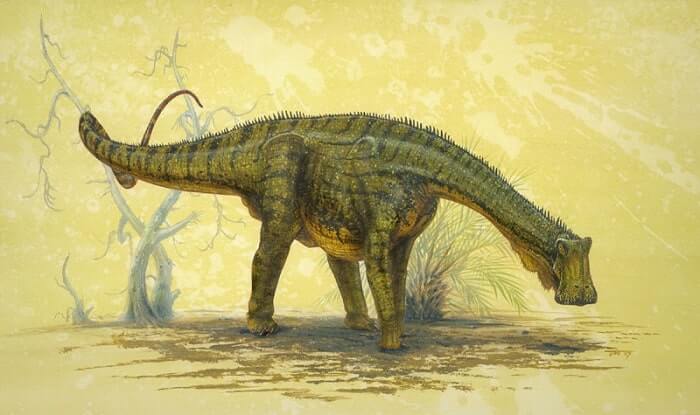 What Dinosaur Has 500 Teeth? Everything About Nigersaurus