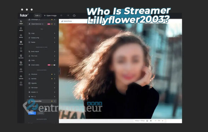Who Is Streamer Lillyflower2003?