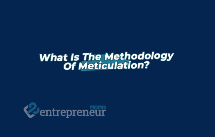 What Is The Methodology Of Meticulation?