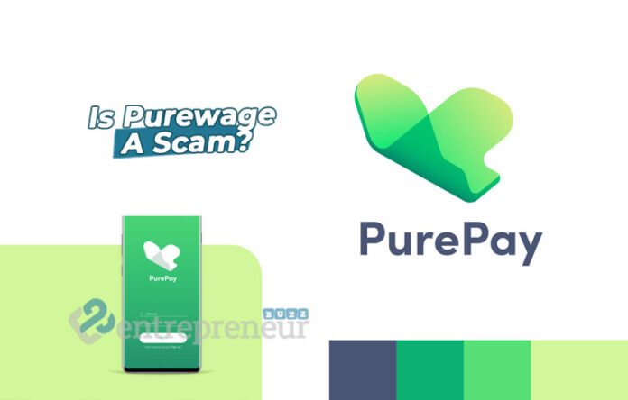 Is Purewage A Scam?